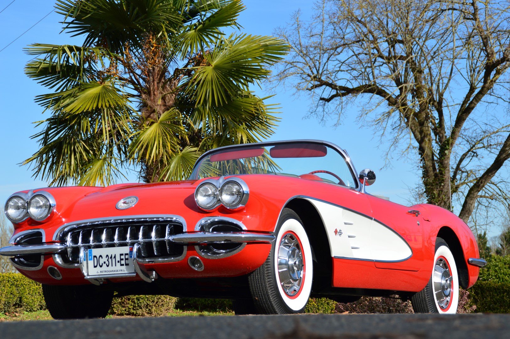 Corvette C1  1951